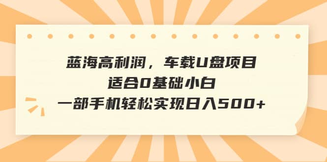 蓝海高利润，车载U盘项目，适合0基础小白，一部手机轻松实现日入500-鑫诺空间个人笔记本