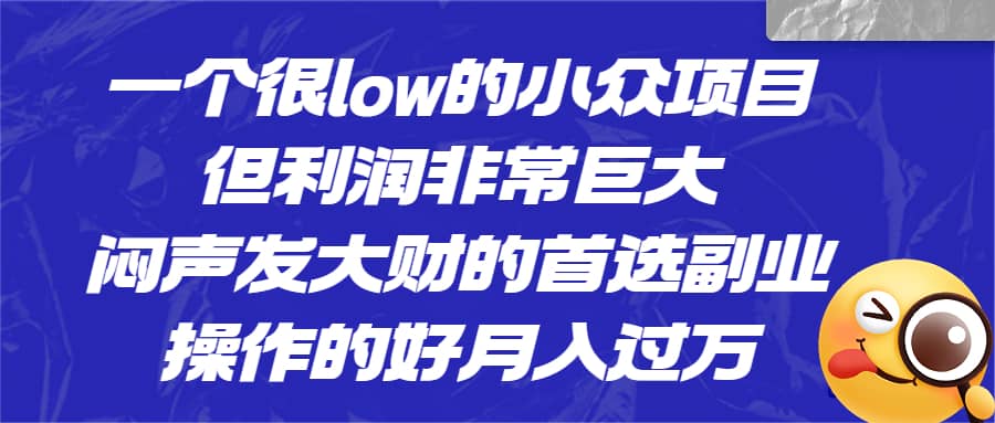 一个很low的小众项目，但利润非常巨大，闷声发大财的首选副业，月入过万-鑫诺空间个人笔记本