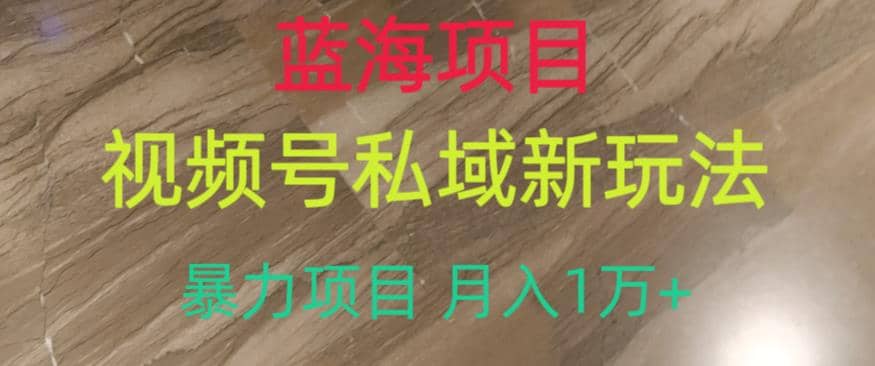 蓝海项目，视频号私域新玩法，暴力项目月入1万 【揭秘】-鑫诺空间个人笔记本