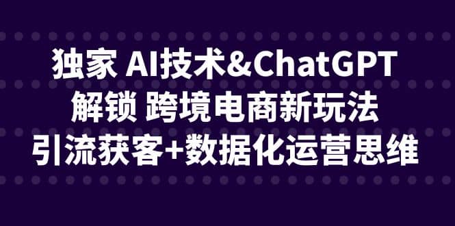 独家 AI技术ChatGPT解锁 跨境电商新玩法，引流获客 数据化运营思维-鑫诺空间个人笔记本