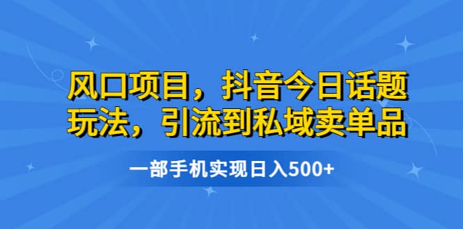 风口项目，抖音今日话题玩法，引流到私域卖单品，一部手机实现日入500-鑫诺空间个人笔记本