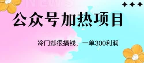 冷门公众号加热项目，一单利润300-鑫诺空间个人笔记本