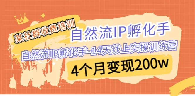 某社群收费培训：自然流IP 孵化手-14天线上实操训练营 4个月变现200w-鑫诺空间个人笔记本