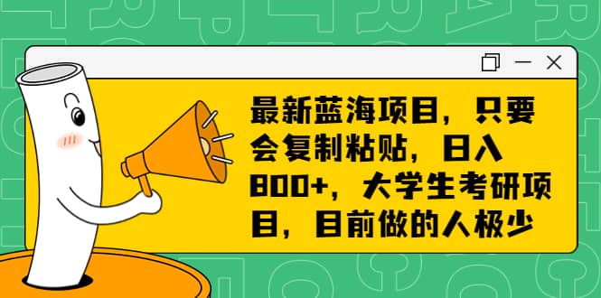 最新蓝海项目，只要会复制粘贴，日入800 ，大学生考研项目，目前做的人极少-鑫诺空间个人笔记本