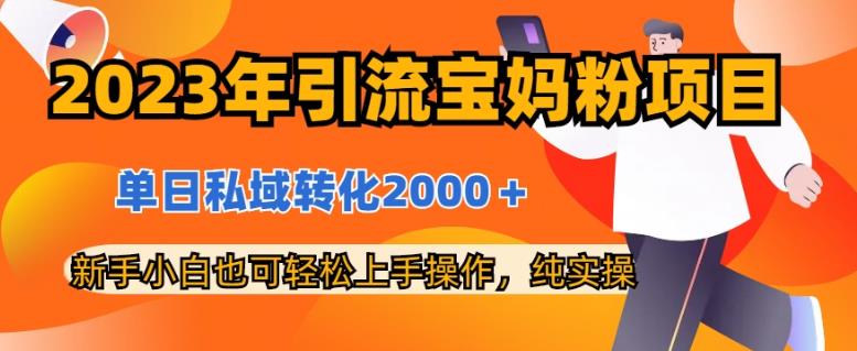 2023年引流宝妈粉项目，单日私域转化2000＋，新手小白也可轻松上手操作，纯实操-鑫诺空间个人笔记本