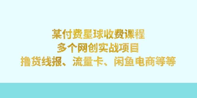 某付费星球课程：多个网创实战项目，撸货线报、流量卡、闲鱼电商等等-鑫诺空间个人笔记本