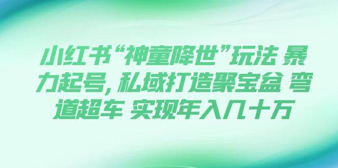 小红书“神童降世”玩法 暴力起号,私域打造聚宝盆 弯道超车 实现年入几十万-鑫诺空间个人笔记本